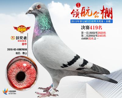 唐山领航决赛419名