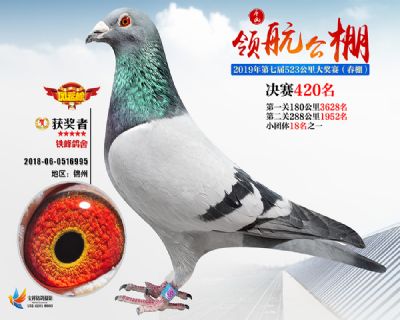 唐山领航决赛420名