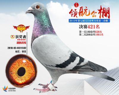 唐山领航决赛421名