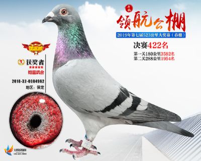 唐山领航决赛422名