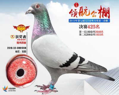 唐山领航决赛425名