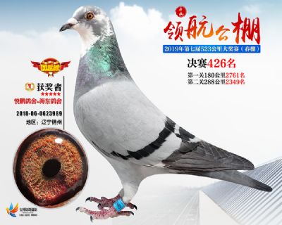 唐山领航决赛426名