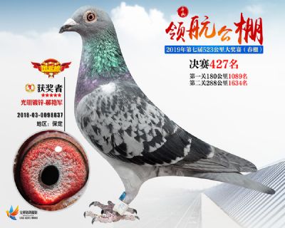 唐山领航决赛427名