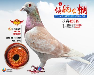 唐山领航决赛428名