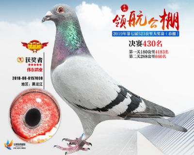 唐山领航决赛430名