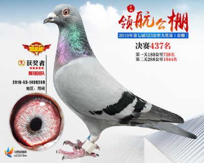 唐山领航决赛437名