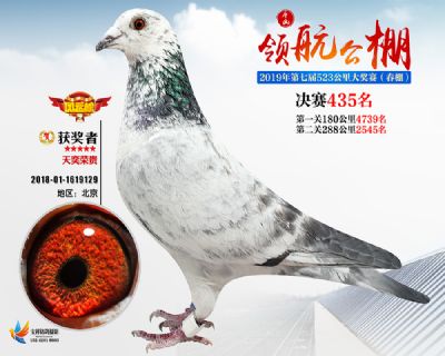 唐山领航决赛435名
