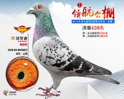 唐山领航决赛438名