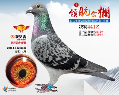 唐山领航决赛441名