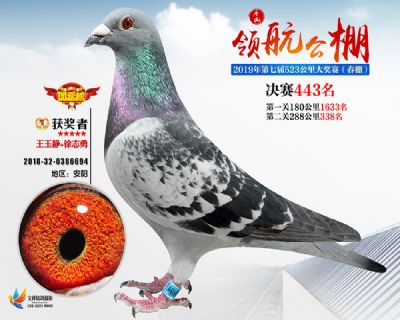 唐山领航决赛443名