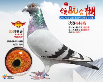 唐山领航决赛444名