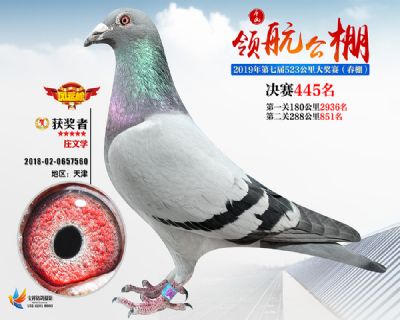 唐山领航决赛445名