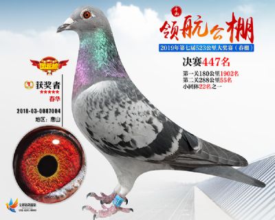 唐山领航决赛447名
