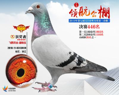 唐山领航决赛446名