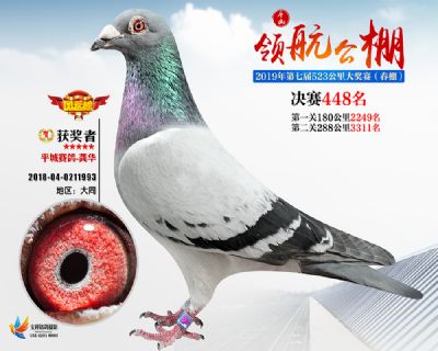 唐山领航决赛448名