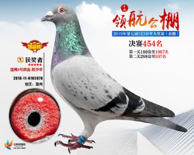唐山领航决赛454名