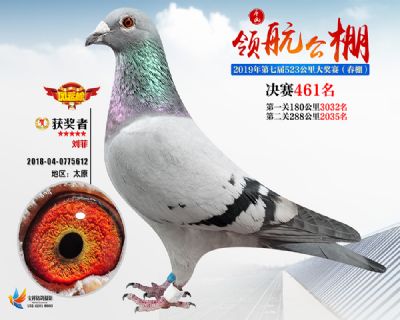 唐山领航决赛461名