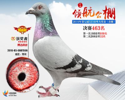 唐山领航决赛463名
