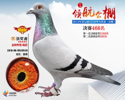 唐山领航决赛466名