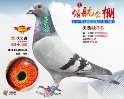 唐山领航决赛467名