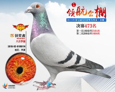唐山领航决赛473名