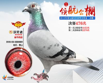 唐山领航决赛476名