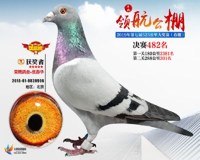 唐山领航决赛482名