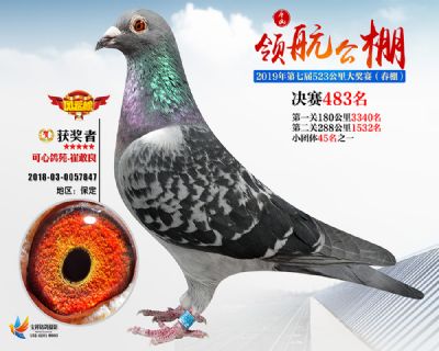 唐山领航决赛483名