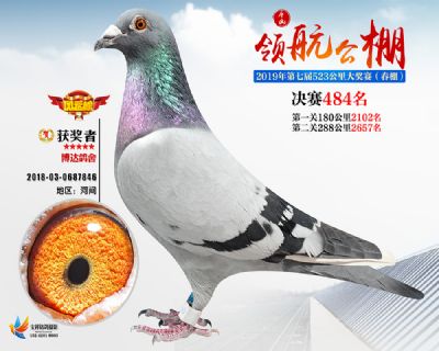 唐山领航决赛484名
