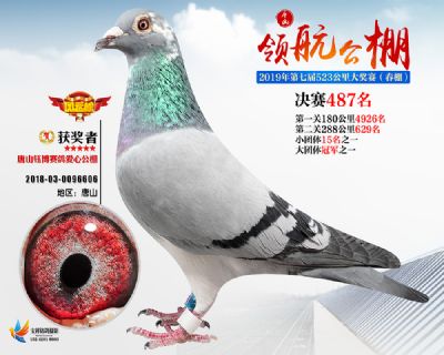 唐山领航决赛487名