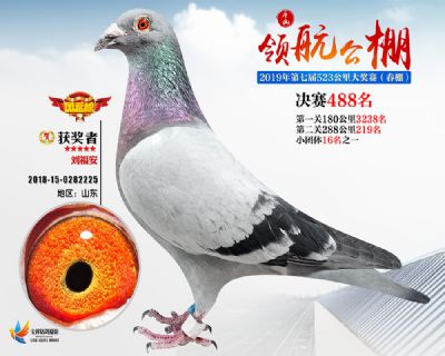 唐山领航决赛488名