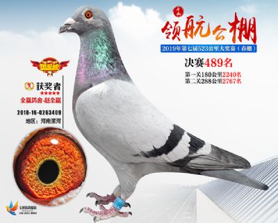 唐山领航决赛489名