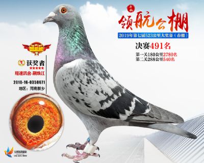 唐山领航决赛491名