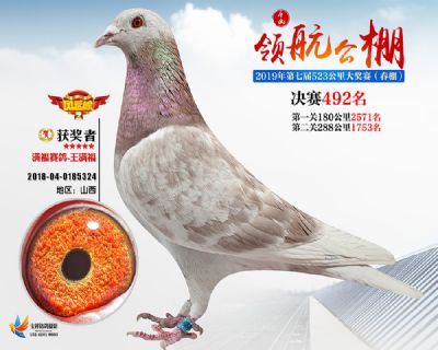 唐山领航决赛492名