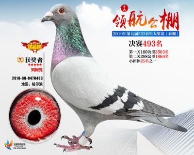 唐山领航决赛493名