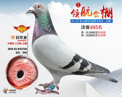 唐山领航决赛495名