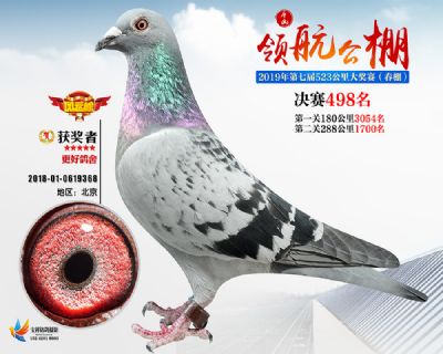 唐山领航决赛498名