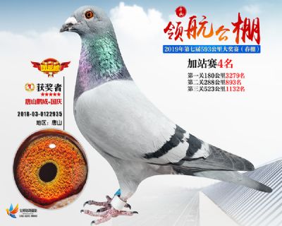 唐山领航加站赛4名