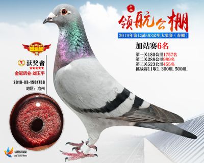唐山领航加站赛6名