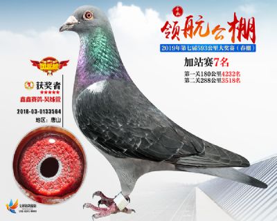 唐山领航加站赛7名
