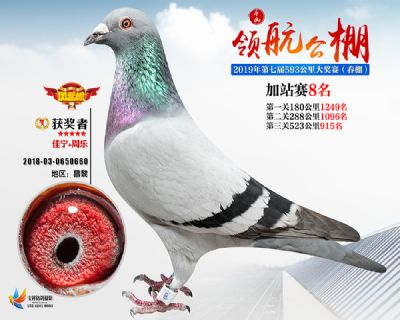 唐山领航加站赛8名