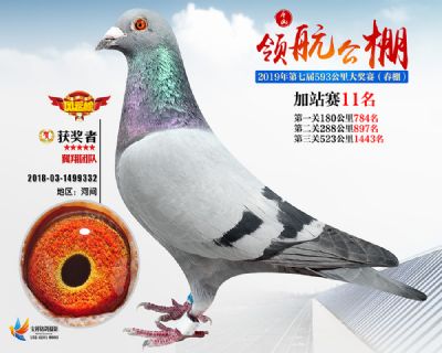 唐山领航加站赛11名