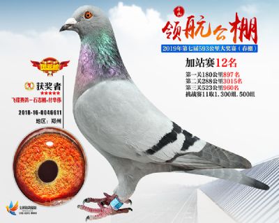 唐山领航加站赛12名