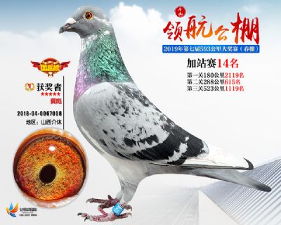 唐山领航加站赛14名