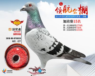 唐山领航加站赛15名