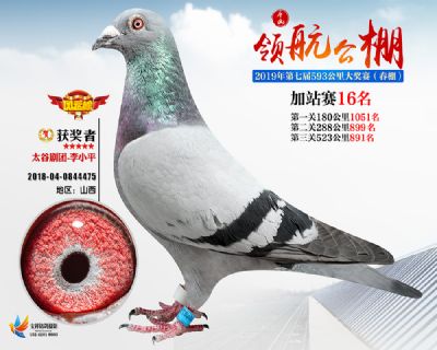 唐山领航加站赛16名