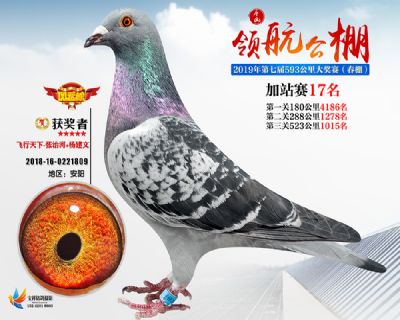 唐山领航加站赛17名