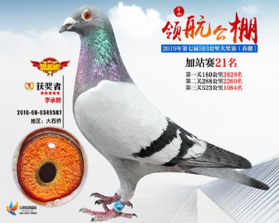 唐山领航加站赛21名