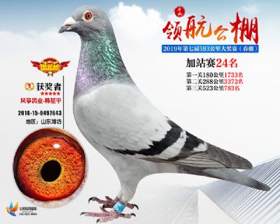 唐山领航加站赛24名