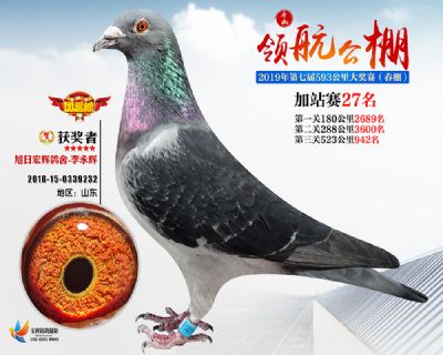 唐山领航加站赛27名